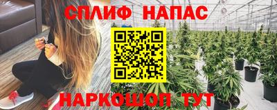 прущие грибы Комсомольск-на-Амуре