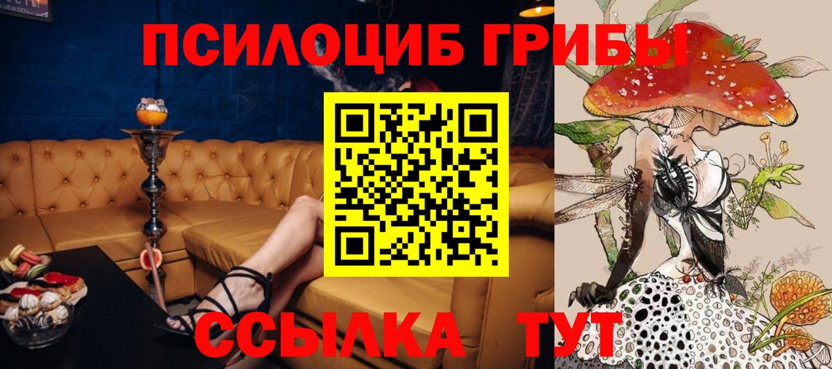 Чапаевск  Галлюциногенные грибы Psilocybe  Вход с VPN 