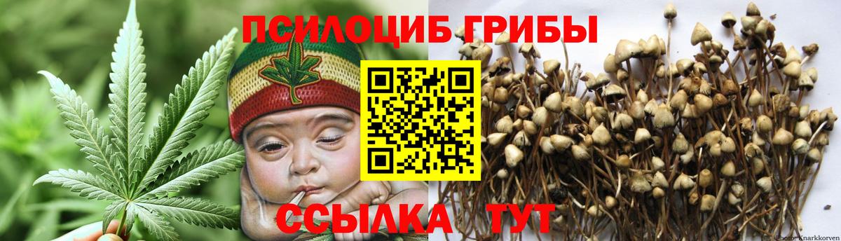 Галлюциногенные грибы Psilocybe Чапаевск